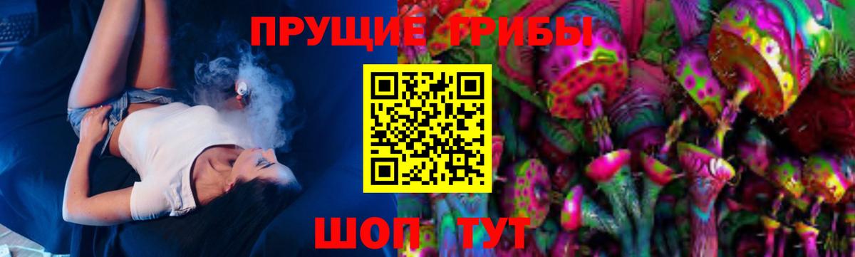закладки  Вход с VPN  Нефтекумск  Галлюциногенные грибы мицелий 